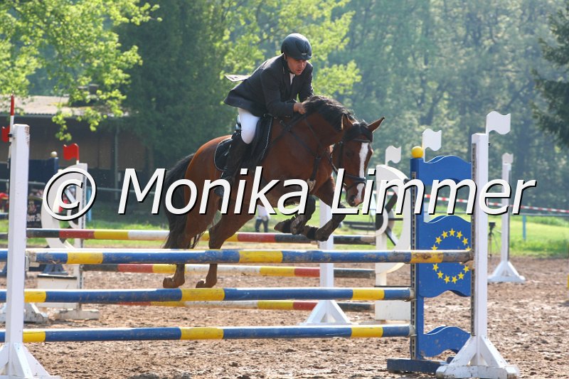 103M3113_Etoile D Araconit_Springpf A.JPG